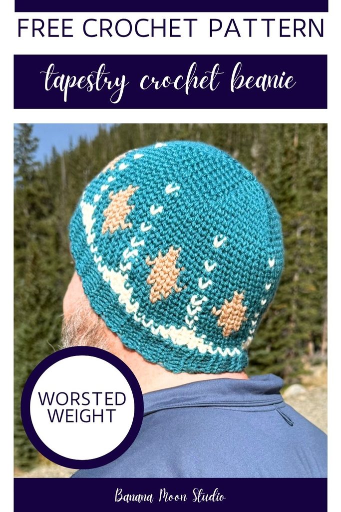 A man stands outside with his back facing. He wears a crochet colorwork beanie. Panels with text read: Free crochet pattern, tapestry crochet beanie, banana moon studio, worsted weight.